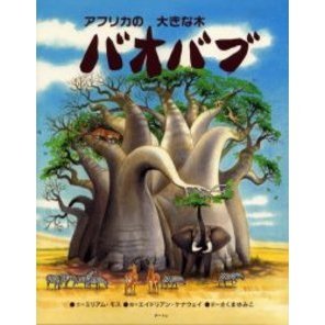 バオバブ　アフリカの大きな木