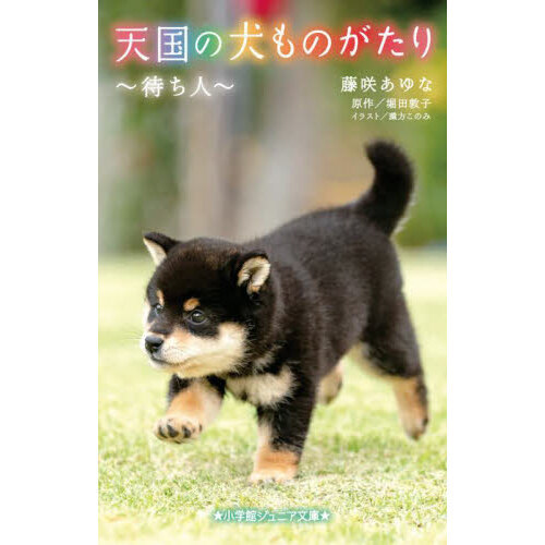 天国の犬ものがたり　〔１４〕