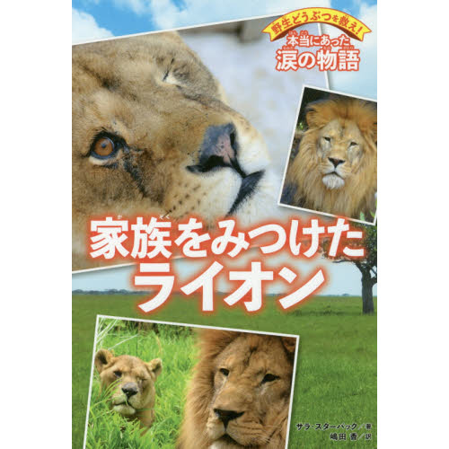 家族をみつけたライオン