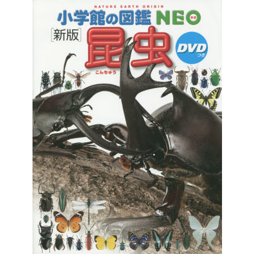 小学館の図鑑NEO 昆虫 新版 DVDつき シール特典付き