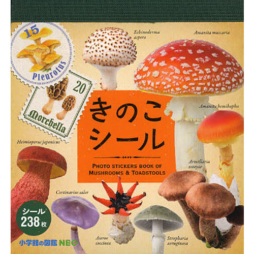 きのこシール