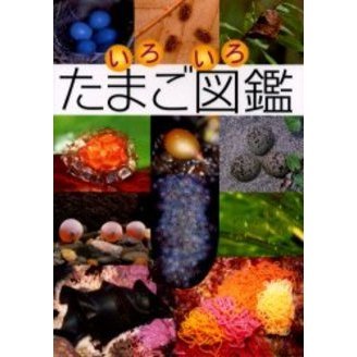 いろいろたまご図鑑