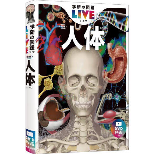 人体
