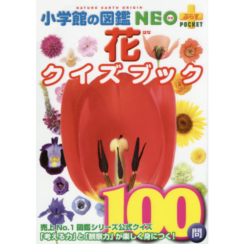 花クイズブック