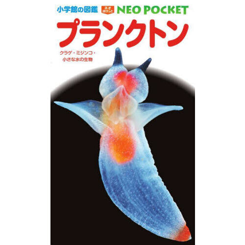 プランクトン　クラゲ・ミジンコ・小さな水の生物