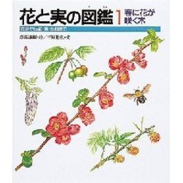 花と実の図鑑　花芽から花・実・たねまで　１