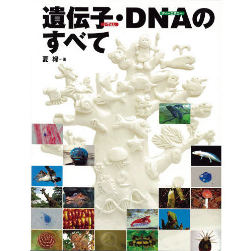 遺伝子・ＤＮＡのすべて