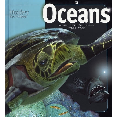 海