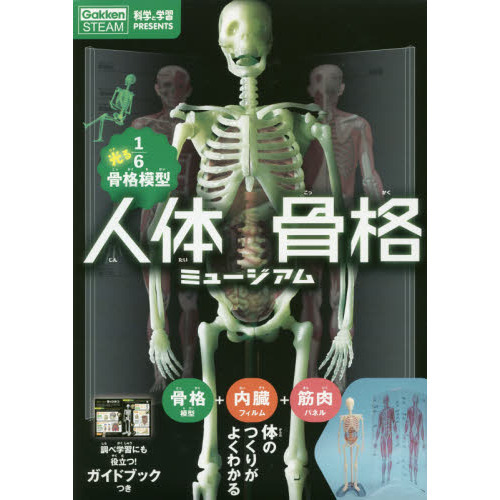 人体骨格ミュージアム　光る１／６骨格模型　ガイドブック