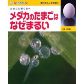 メダカのたまごはなぜまるい　たまごの形くらべ