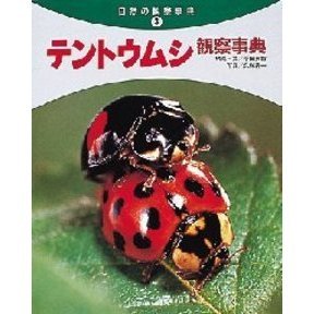 テントウムシ観察事典