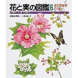 花と実の図鑑　花芽から花・実・たねまで　６