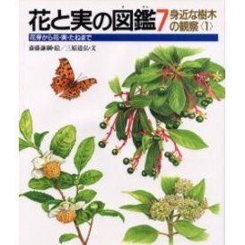 花と実の図鑑　花芽から花・実・たねまで　７