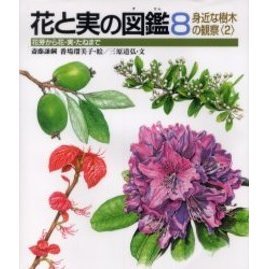 花と実の図鑑　花芽から花・実・たねまで　８
