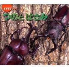 つのとはさみ　かぶとむしとくわがたむし