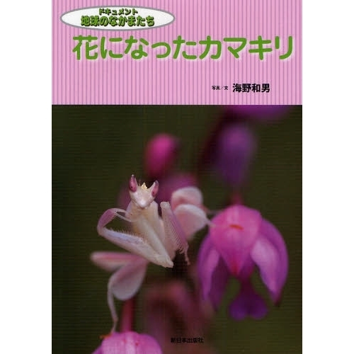 花になったカマキリ