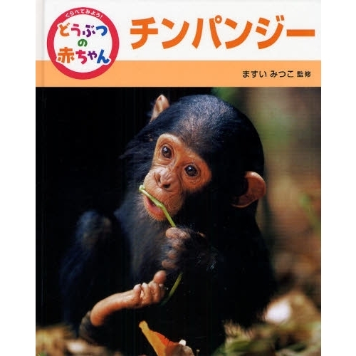 くらべてみよう！どうぶつの赤ちゃん　４