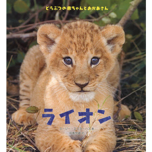 ライオン