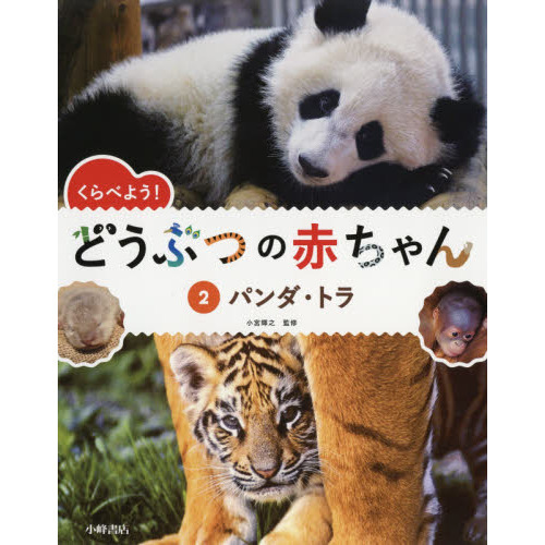 くらべよう！どうぶつの赤ちゃん　２