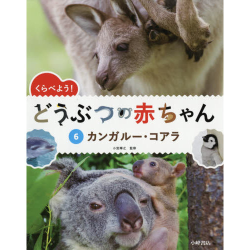 くらべよう！どうぶつの赤ちゃん　６