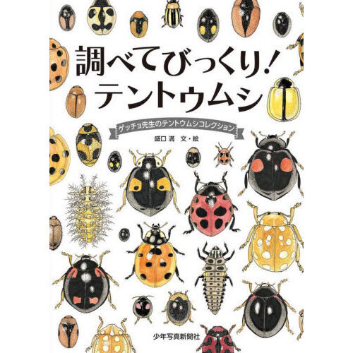 調べてびっくり！テントウムシ　ゲッチョ先生のテントウムシコレクション