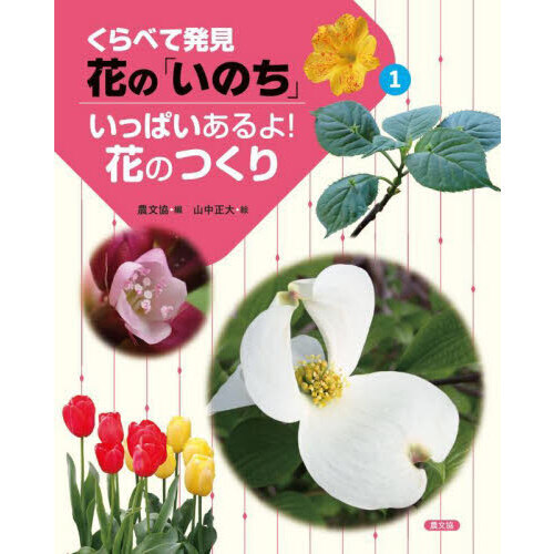 くらべて発見花の「いのち」　１