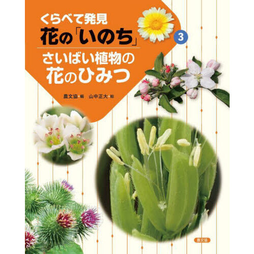 くらべて発見花の「いのち」　３