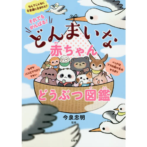 それでもがんばる！どんまいな赤ちゃんどうぶつ図鑑
