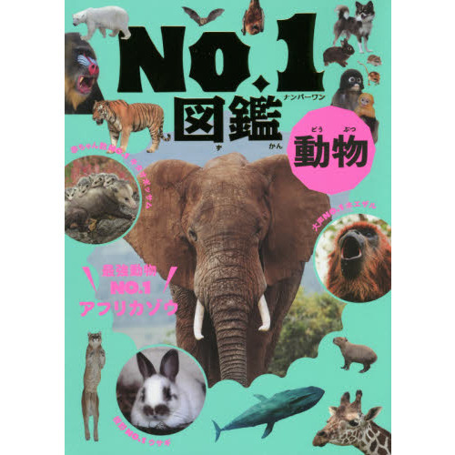動物Ｎｏ．１図鑑