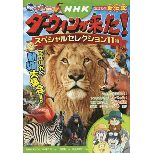 ＮＨＫダーウィンが来た！スペシャルセレクション１１編　アフリカの動物大集合！　生きもの新伝説
