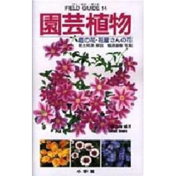 園芸植物　庭の花・花屋さんの花