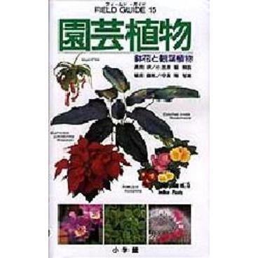 園芸植物　鉢花と観葉植物