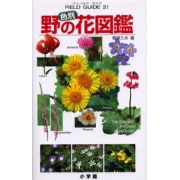 色別野の花図鑑