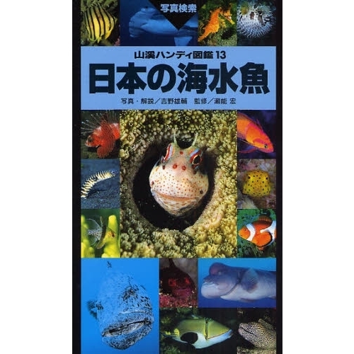 日本の海水魚　写真検索