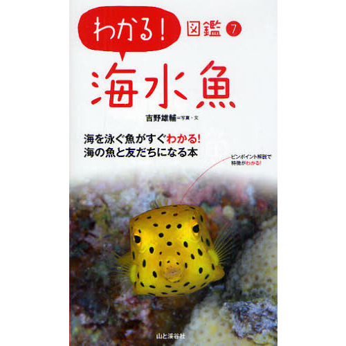 わかる！図鑑７　海水魚