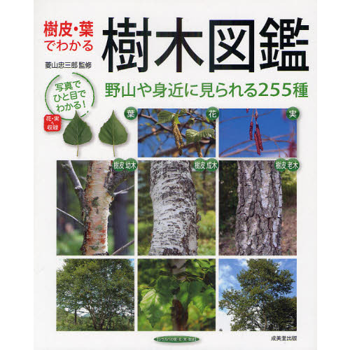 樹皮・葉でわかる 樹木図鑑