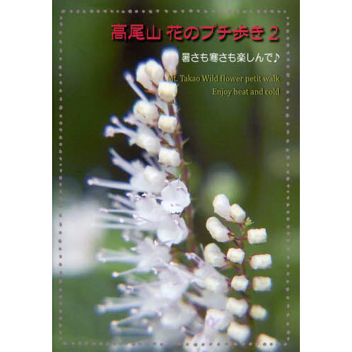 高尾山 花のプチ歩き2