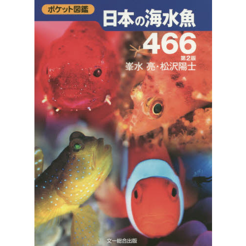 日本の海水魚４６６