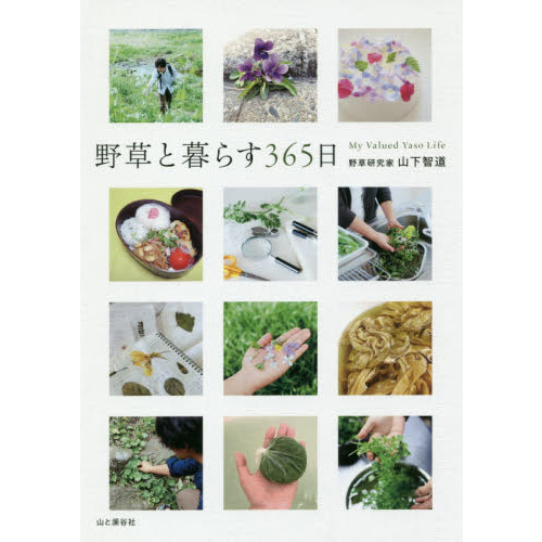 野草と暮らす３６５日
