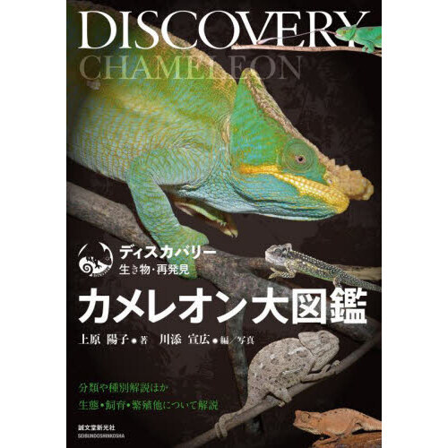 カメレオン大図鑑　分類や種別解説ほか生態・飼育・繁殖について解説