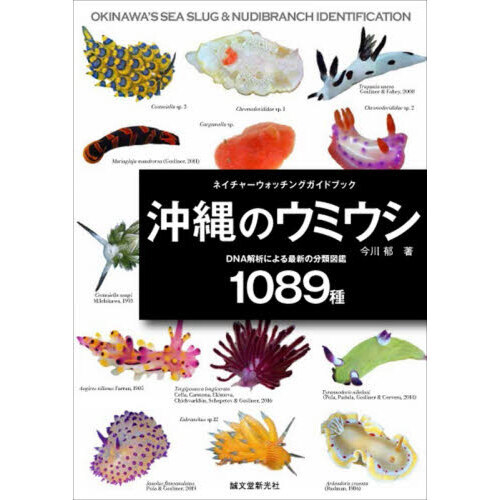 沖縄のウミウシ　ＤＮＡ解析による最新の分類図鑑１０８９種