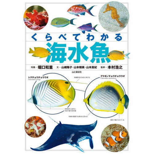くらべてわかる海水魚