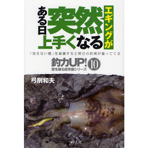 エギングがある日突然上手くなる
