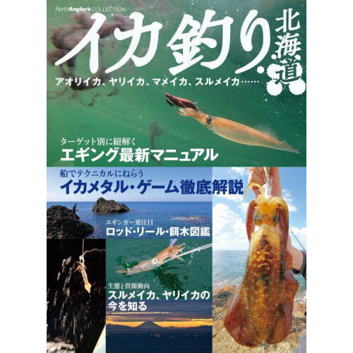 イカ釣り北海道　アオリイカ、ヤリイカ、マメイカ、スルメイカ……