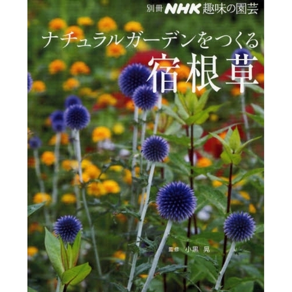 ナチュラルガーデンをつくる宿根草