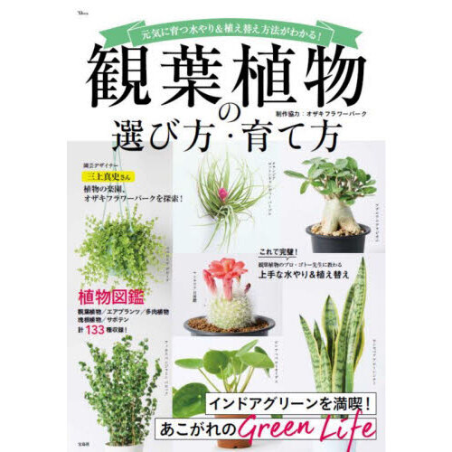観葉植物の選び方・育て方　元気に育つ水やり＆植え替え方法がわかる！