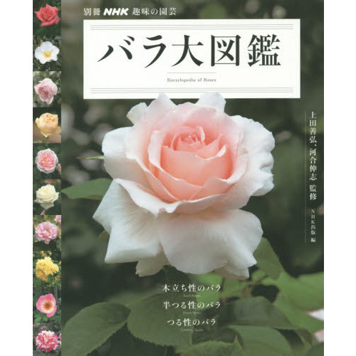 バラ大図鑑