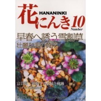 花にんき　ナンバー１０