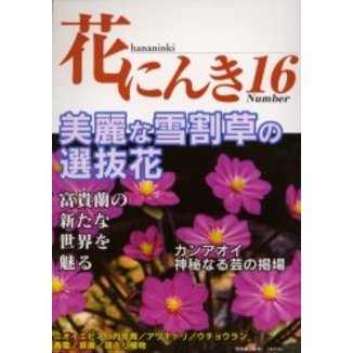 花にんき　ナンバー１６