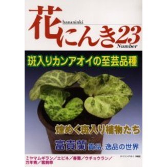 花にんき　ナンバー２３